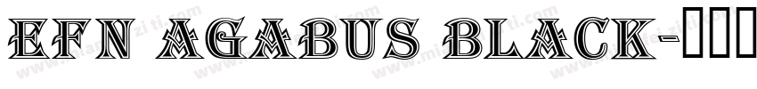 EFN Agabus Black字体转换